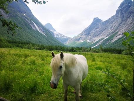 Vila Annebu Åndalsnes Exteriér fotografie